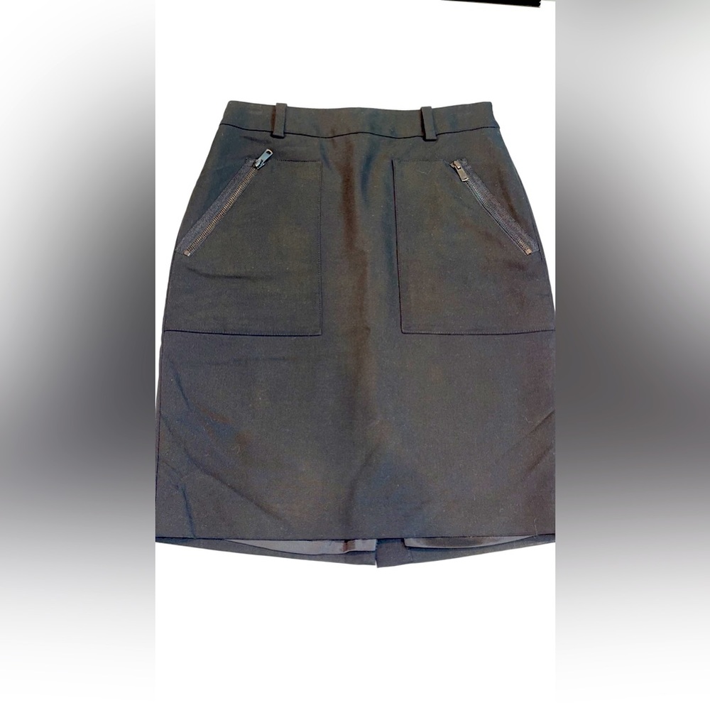 Ann Taylor skirt